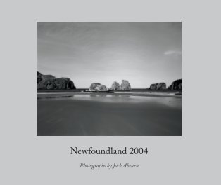 Newfoundland 2004 book cover