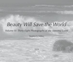 Beauty Will Save the World book cover