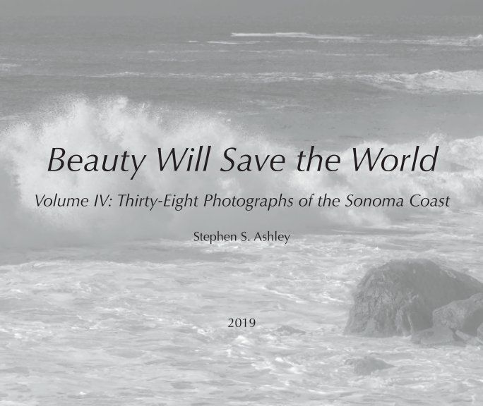 View Beauty Will Save the World by Stephen S. Ashley