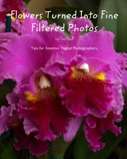 Flowers Turned Into Fine Filtered Photos book cover