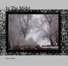 In The Midst book cover