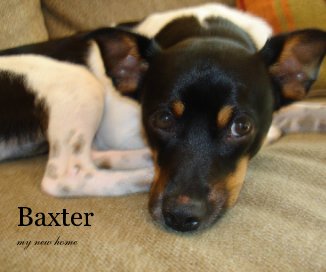 Baxter book cover