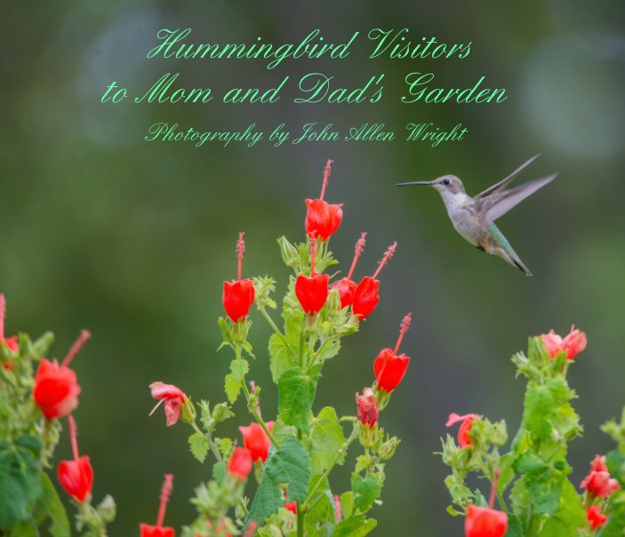 View Hummingbird Visitors 
to Mom and Dad's Garden by John Allen Wright