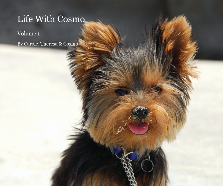 View Life With Cosmo by Carole, Theresa & Cosmo