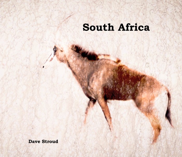 View South Africa by Dave Stroud