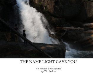The Name Light Gave You book cover