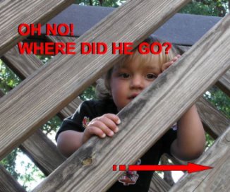 OH NO!  WHERE DID HE GO? book cover