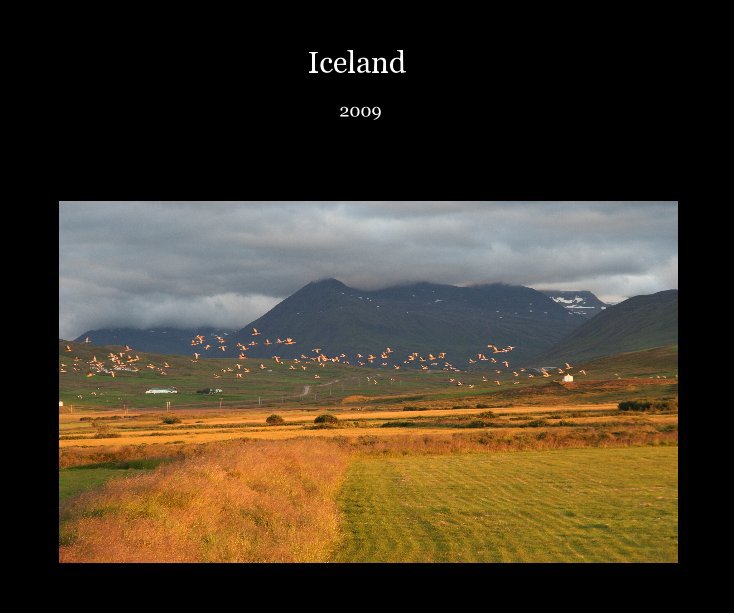 View Iceland by Massimo Della Rosa