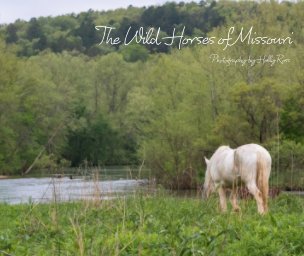 The Wild Horses of Missouri book cover