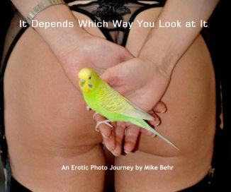 It Depends Which Way You Look at It book cover