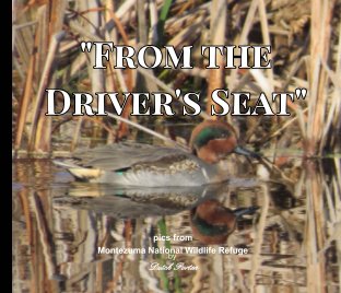 "From the Driver's Seat" book cover