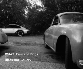 WHAT: Cars and Dogs book cover
