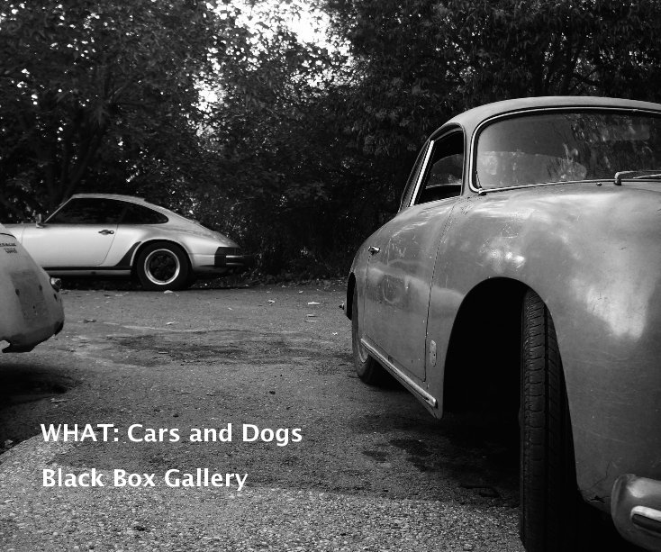 View WHAT: Cars and Dogs by Black Box Gallery