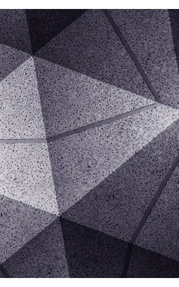 View The Triangular Fold by Curtis W. Jackson