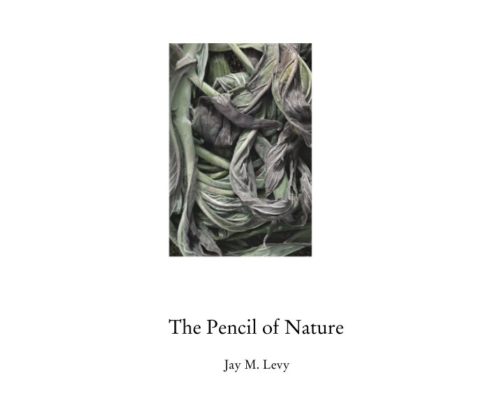 The Pencil of Nature nach Jay M. Levy anzeigen