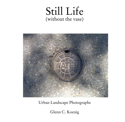 View Still Life (without the vase) by Glenn C. Koenig