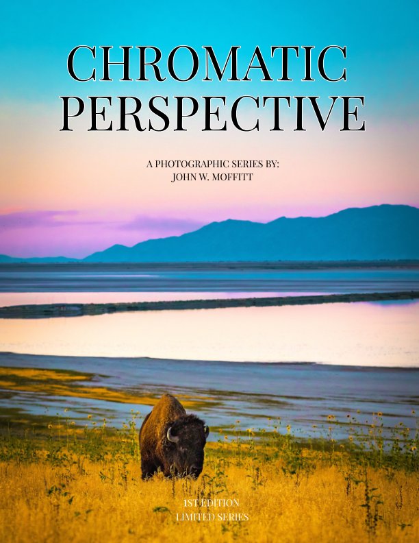 View Chromatic Perspective by John W. Moffitt