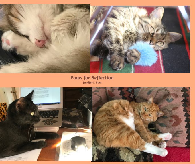 View Paws for Reflection by Jennifer L Butz