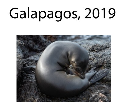 Galapagos, 2019 book cover