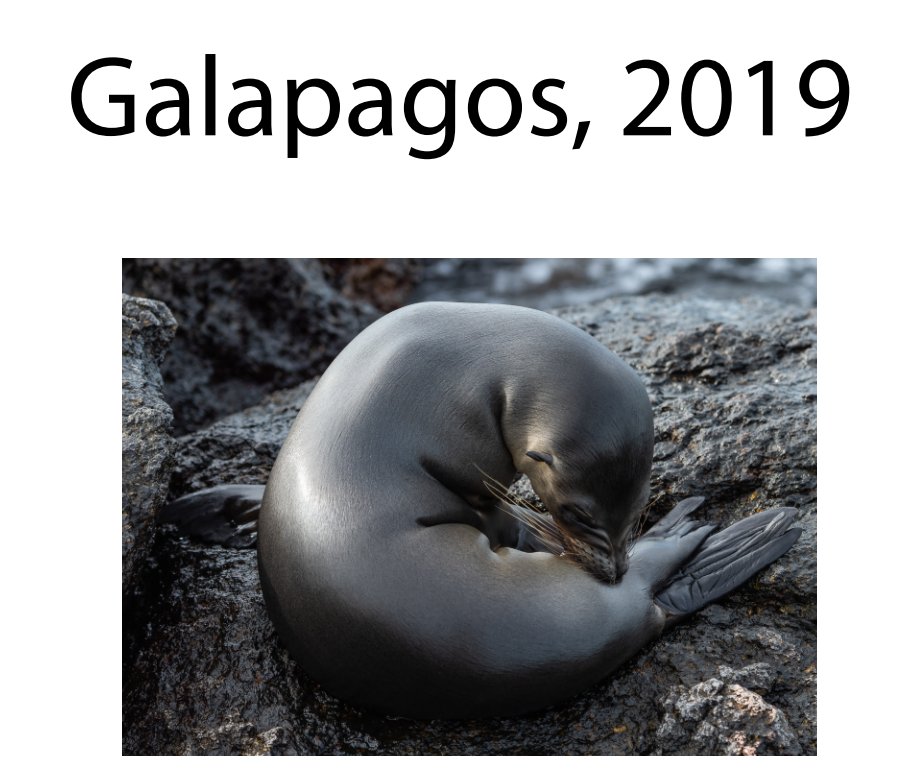 View Galapagos, 2019 by Dennis Landis