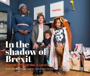 In the shadow of Brexit book cover