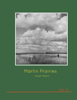 Martin Prairies  Vol 1.1 book cover