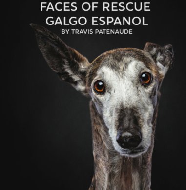Faces of Rescue book cover