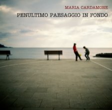 MARIA CARDAMONE   PENULTIMO PAESAGGIO IN FONDO book cover