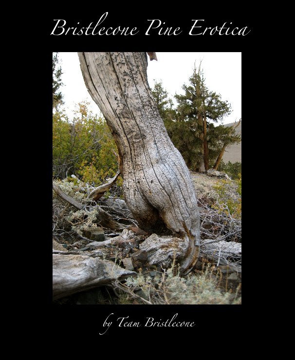 Ver Bristlecone Pine Erotica por Team Bristlecone