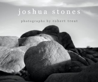 j o s h u a    s t o n e s book cover