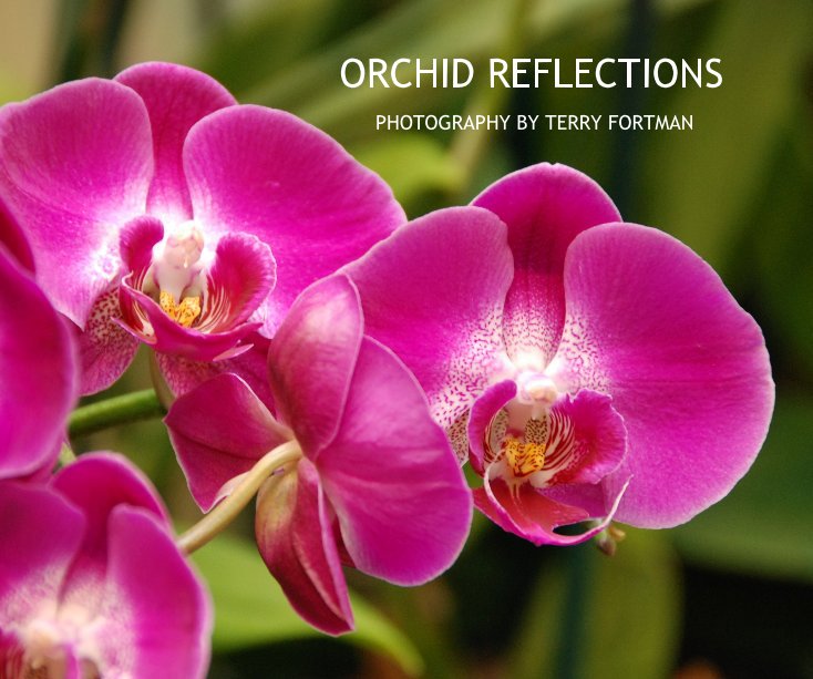 Ver ORCHID REFLECTIONS por tfortman