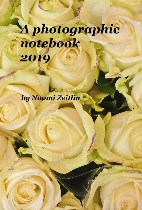 View A photographic notebook 2019 by Naomi Zeitlin