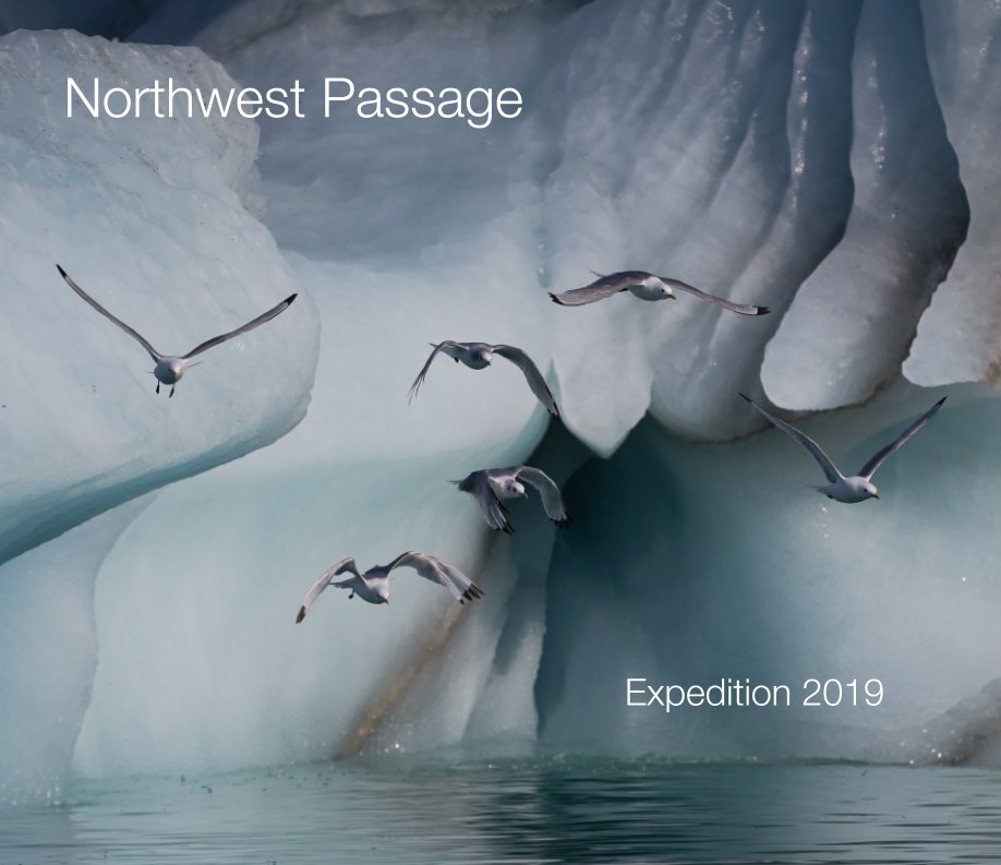 View Northwest Passage by Nick Cobbing, Raul Touzon