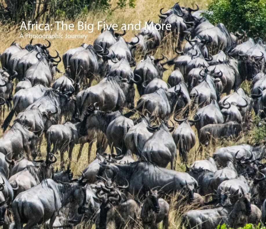 View Africa:The Big Five and More by John B. Kahan