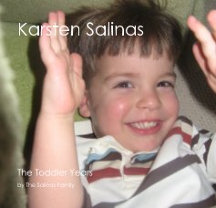 Karsten Salinas book cover