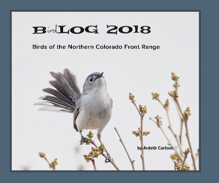 Visualizza Birdlog 2018 di Ardeth Carlson