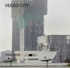Veiled City book cover