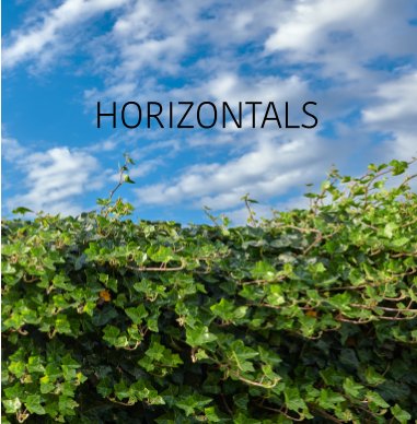 Horizontals book cover