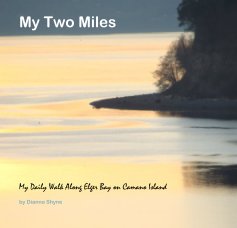 My Two Miles book cover