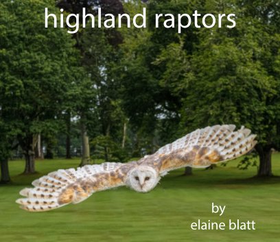 highland raptors book cover