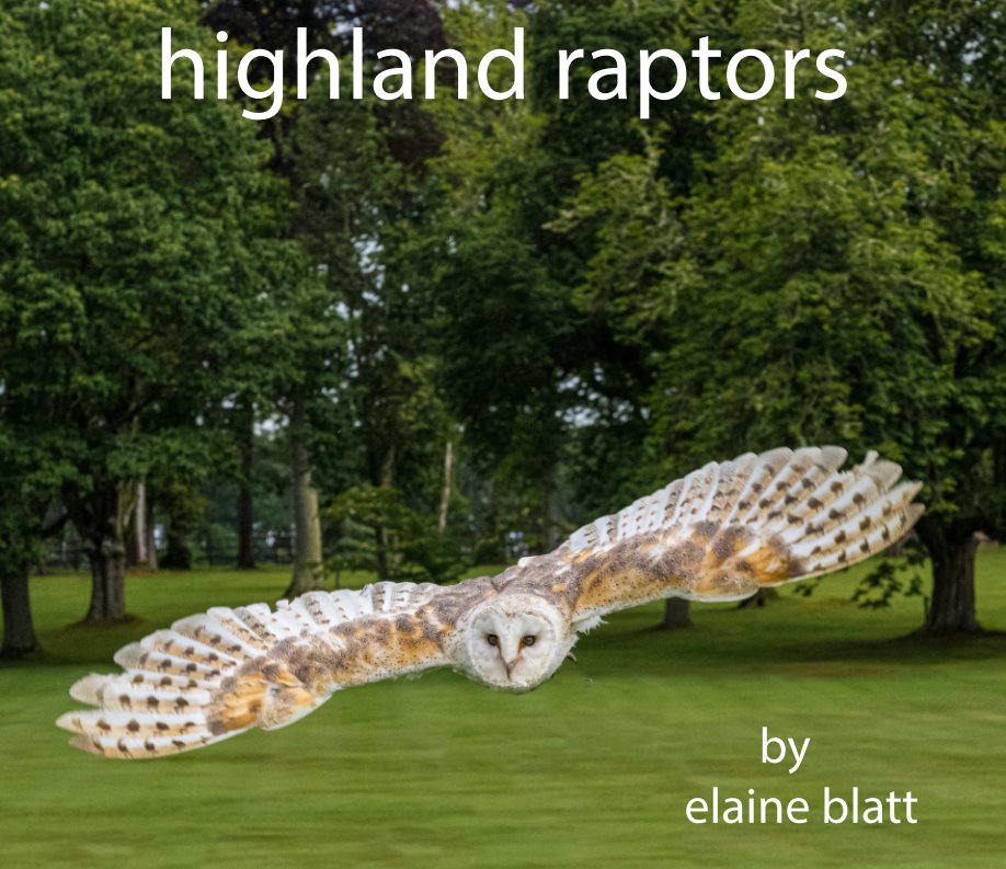 Ver highland raptors por elaine blatt