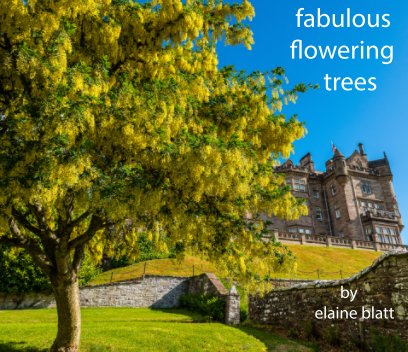fabulous flowering trees book cover