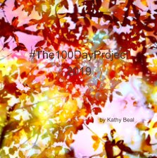 #100DayProject book cover