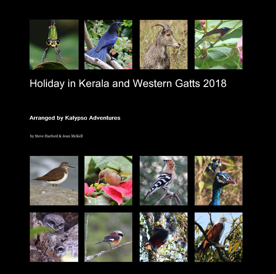 View Holiday in Kerala and Western Gatts 2018 by Steve Harford and Jean McKell