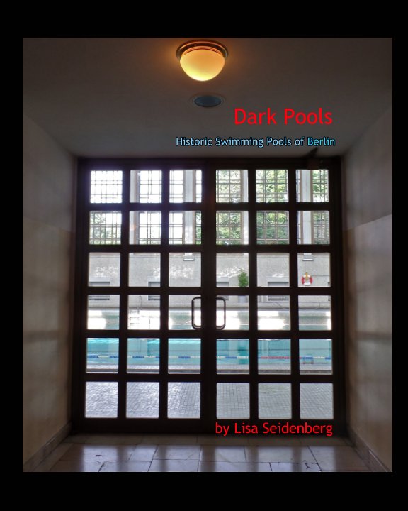 View Dark Pools by Lisa Seidenberg