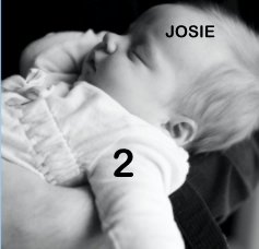 JOSIE 2 book cover