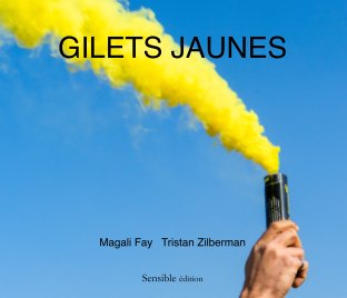 Gilets Jaunes (Mat) book cover