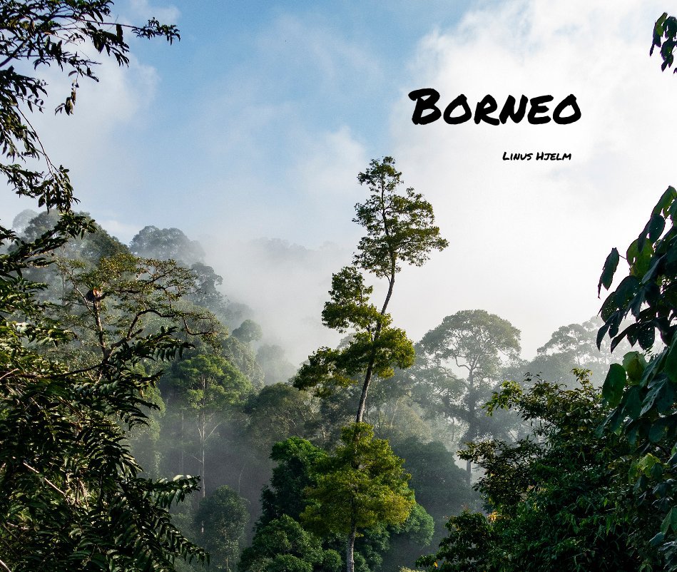 View Borneo by Linus Hjelm