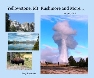 Yellowstone, Mt. Rushmore and More book cover