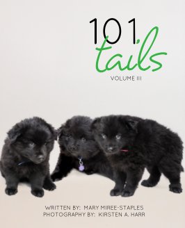 101 Tails: Volume III book cover
